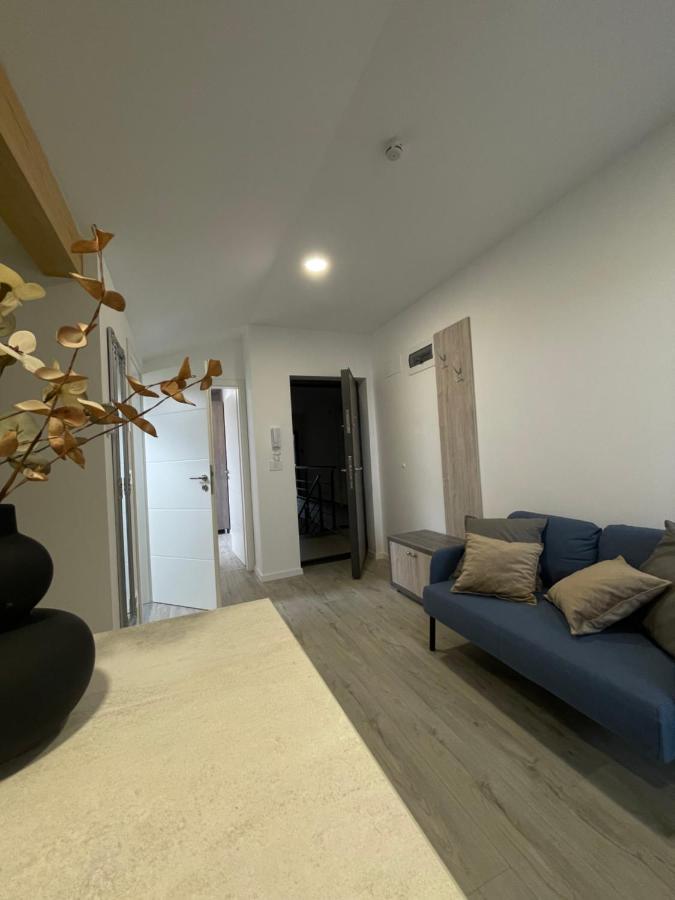 Comfort & Luxury Apartaments Pnmresidence تيميشورا المظهر الخارجي الصورة