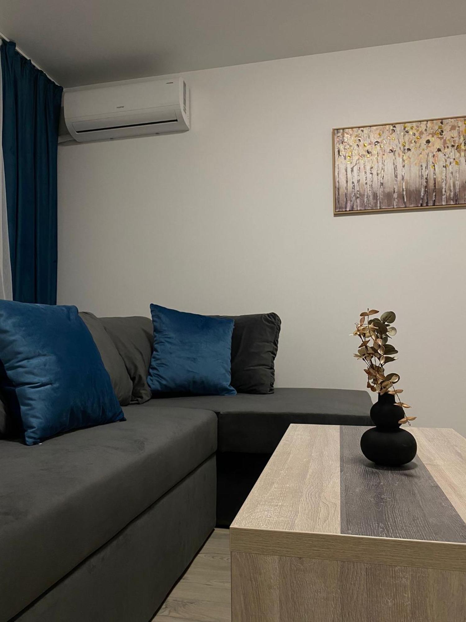 Comfort & Luxury Apartaments Pnmresidence تيميشورا المظهر الخارجي الصورة