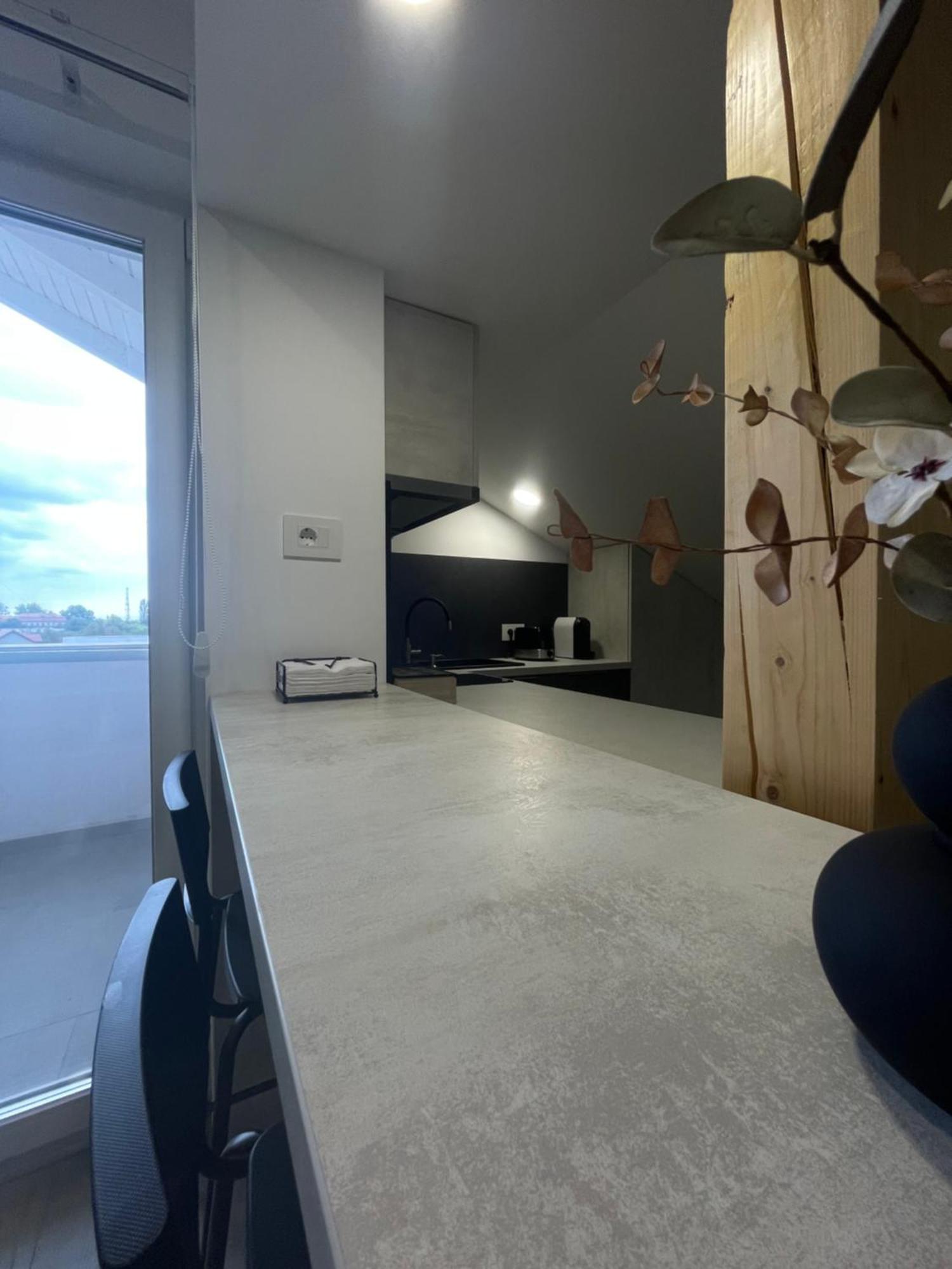 Comfort & Luxury Apartaments Pnmresidence تيميشورا المظهر الخارجي الصورة