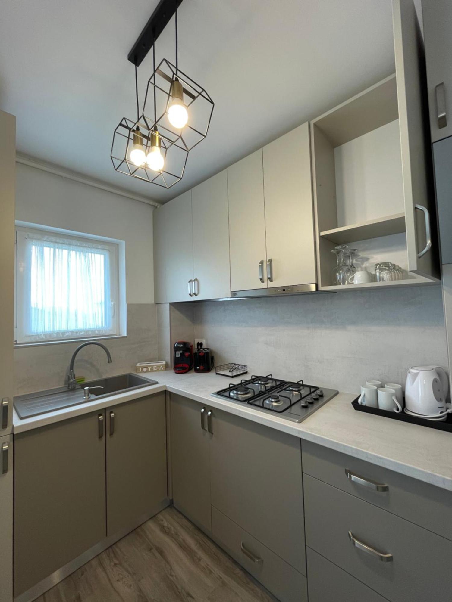 Comfort & Luxury Apartaments Pnmresidence تيميشورا المظهر الخارجي الصورة