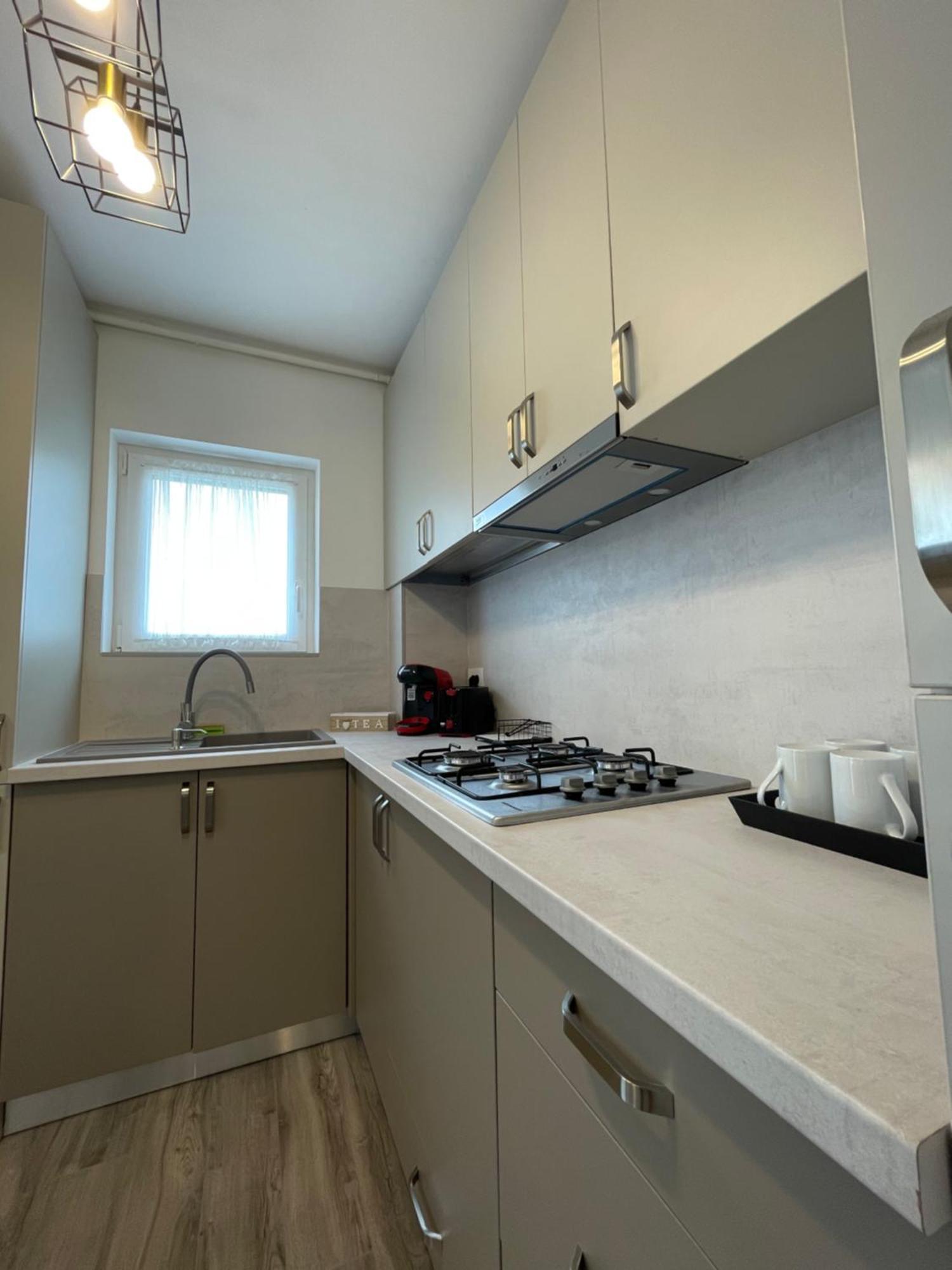 Comfort & Luxury Apartaments Pnmresidence تيميشورا المظهر الخارجي الصورة