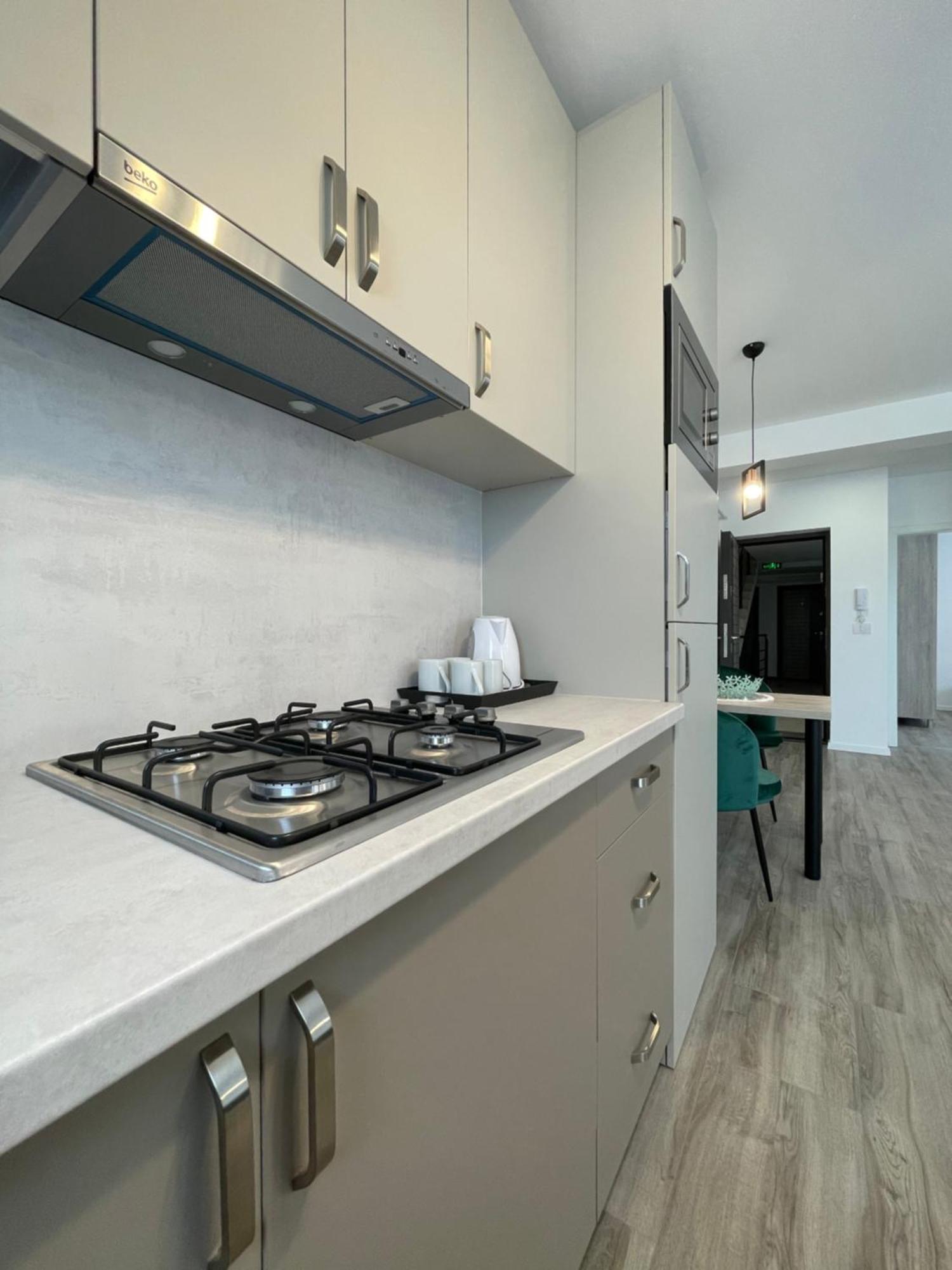 Comfort & Luxury Apartaments Pnmresidence تيميشورا المظهر الخارجي الصورة